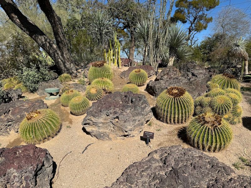 Rare and Exotic Plant Species