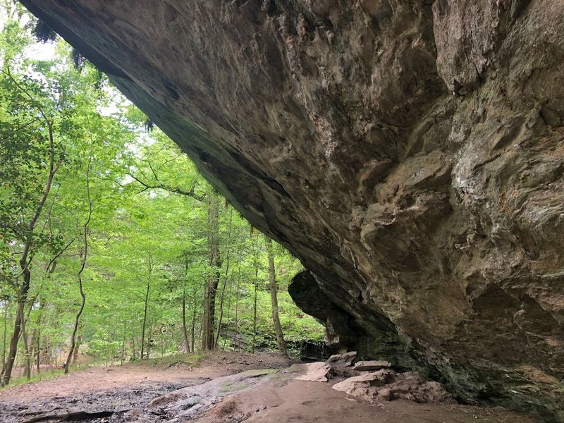 Raven Rock State Park - Lillington, North Carolina