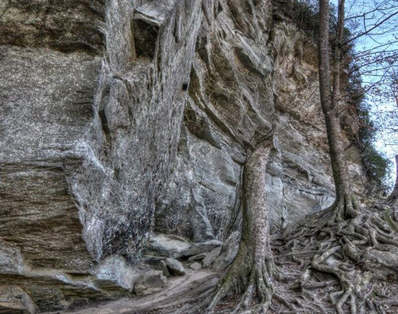 Raven Rock State Park - Lillington, North Carolina