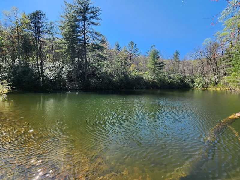 Raymond Fisher Pond: A Quiet Spot Most Visitors Miss