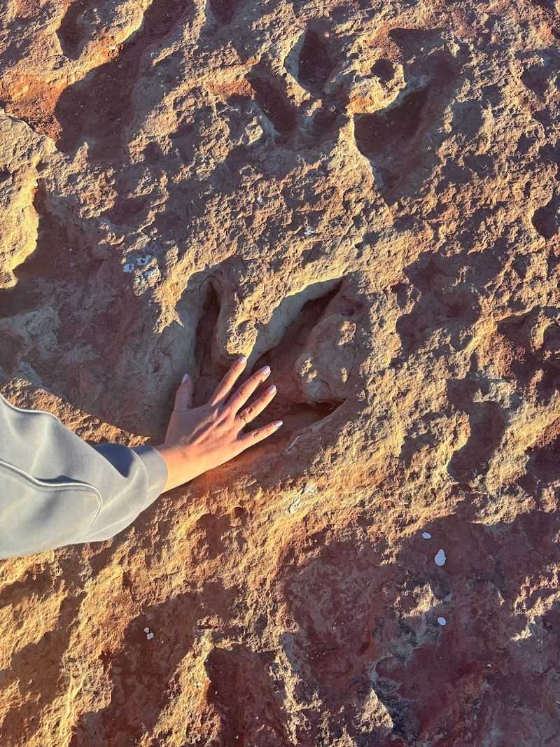 Real Dinosaur Footprints You Can Actually Touch
