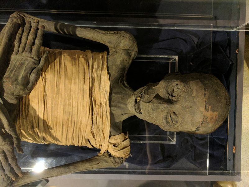 Real Mummies You Can Actually See Up Close