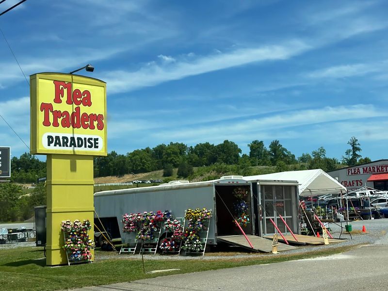 Reasonable Prices and Real Value That Keeps Shoppers Coming Back