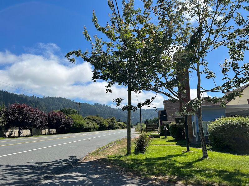 Redwood Creek: The Scenic Waterway That Shapes Orick's Identity