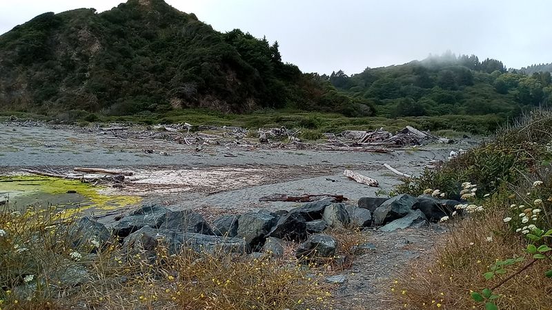 Redwood Creek — A River Running Through Giants