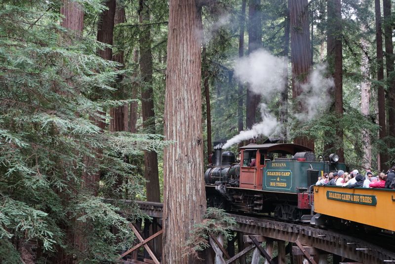 Redwood Forest Views That Leave You Speechless