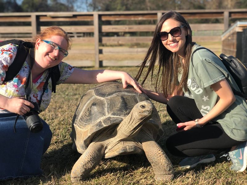 Reptile Handling That Gets Your Heart Pumping Reptile Handling That Gets Your Heart Pumping