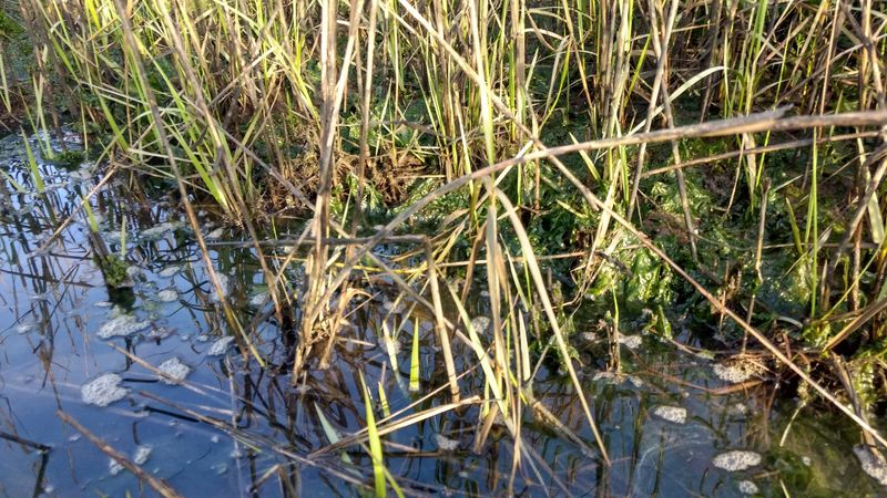 Respecting a Fragile and Protected Ecosystem