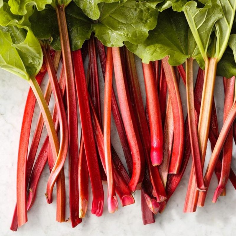 Rhubarb
