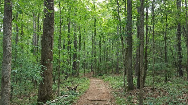 Rich Wildlife and Native Plants Around Every Corner