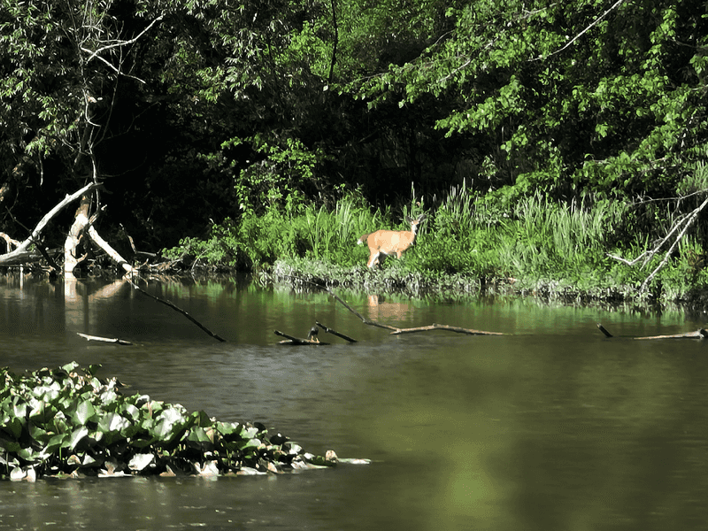 Richland County's Natural Beauty