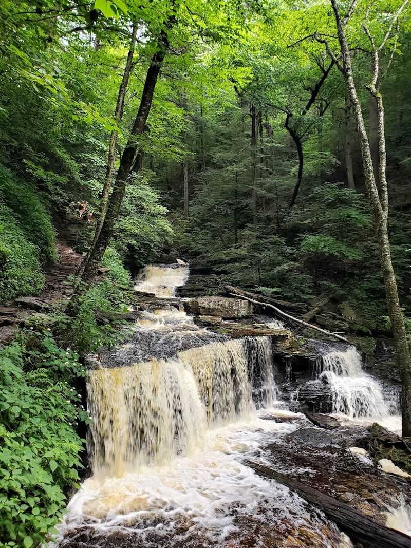 Ricketts Glen Falls Trail - Fairmount Township, Pennsylvania