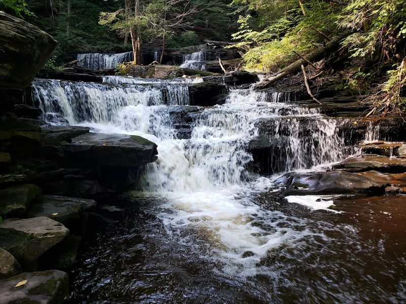 Ricketts Glen State Park - Benton, Pennsylvania
