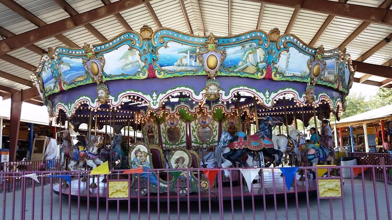 Rides and Entertainment for the Whole Family