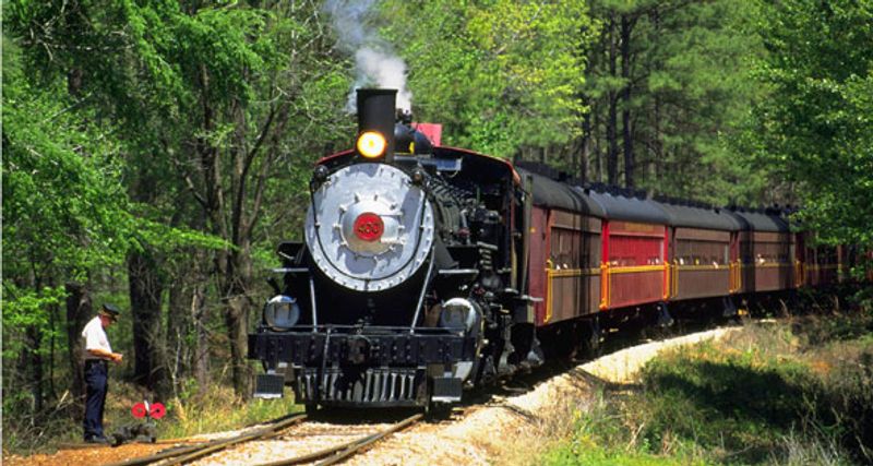 Riding Through the Stunning East Texas Pineywoods Riding Through the Stunning East Texas Pineywoods