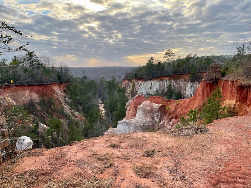 Rim Trail Views That Are Totally Worth It Rim Trail Views That Are Totally Worth It