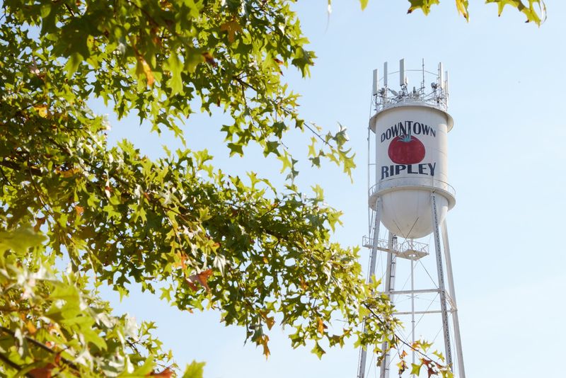 Ripley - Tennessee