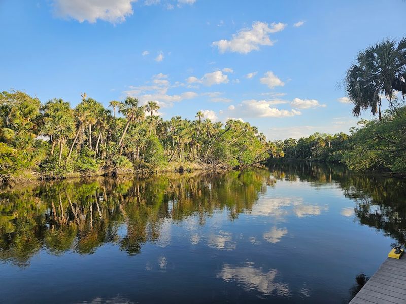 Riverboat Tours Along the Myakka
