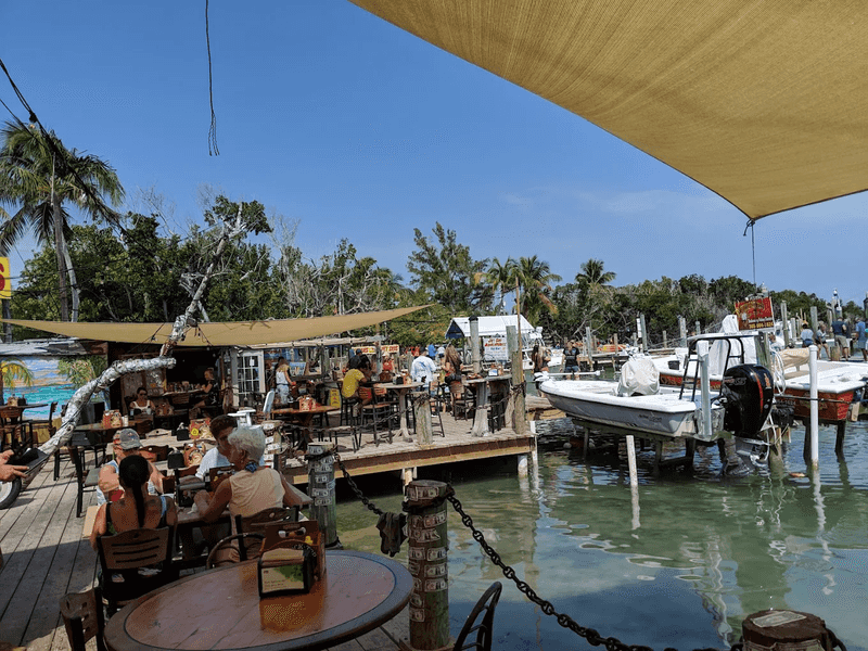 Robbie's Marina: The Tarpon Feeding Experience You Cannot Miss Robbie's Marina: The Tarpon Feeding Experience You Cannot Miss