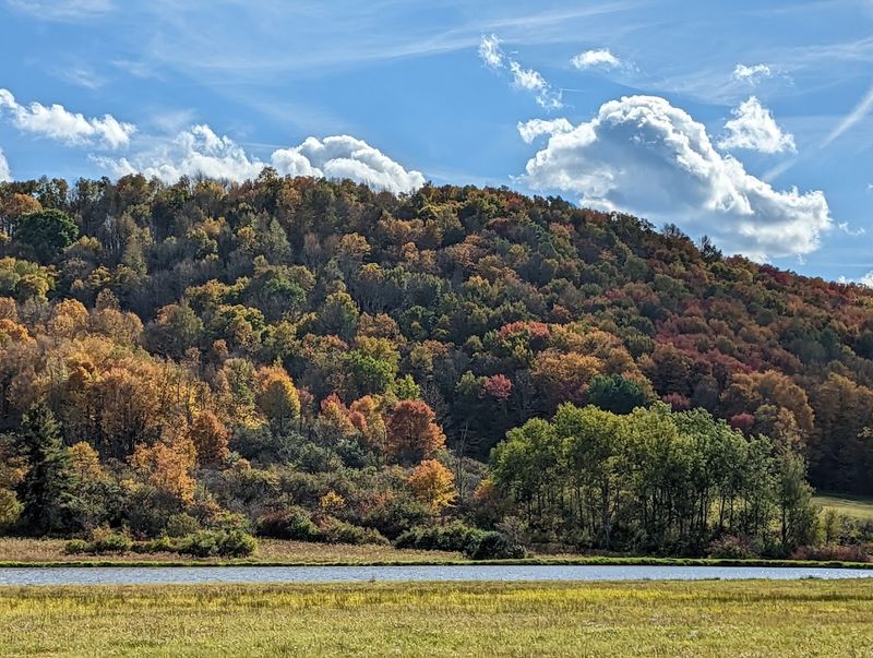 Rock City State Forest