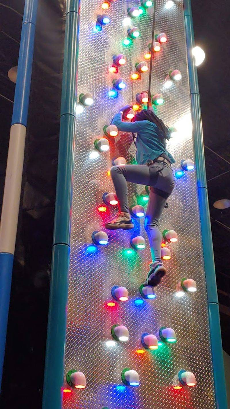 Rock Climbing Wall for Little Adventurers