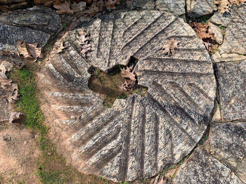 Rock Hawk Effigy and Trails - Eatonton, Georgia