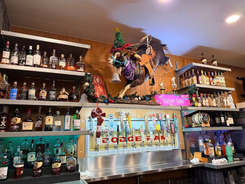 Rodeo Goat - Fort Worth, Texas
