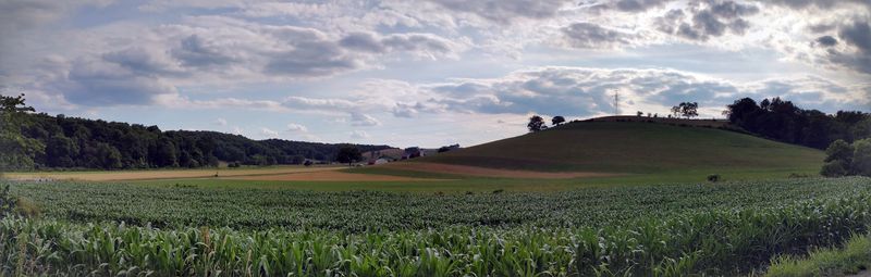 Rolling Farmland That Looks Like a Painting
