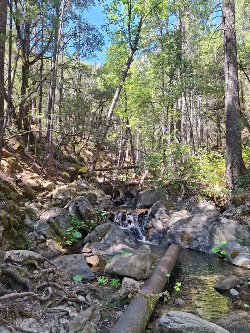 Root Creek Falls: A Hidden Waterfall Treasure
