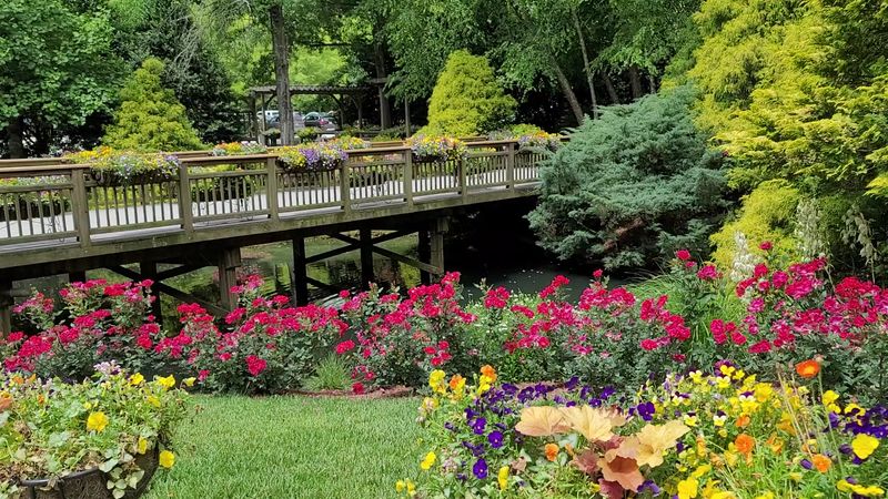 Roses and Seasonal Blooms Around Every Corner
