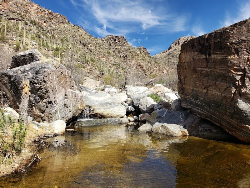 Sabino Canyon Recreation Area - Tucson, Arizona