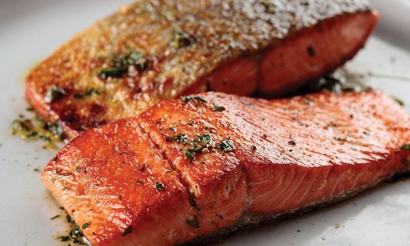 Salmon