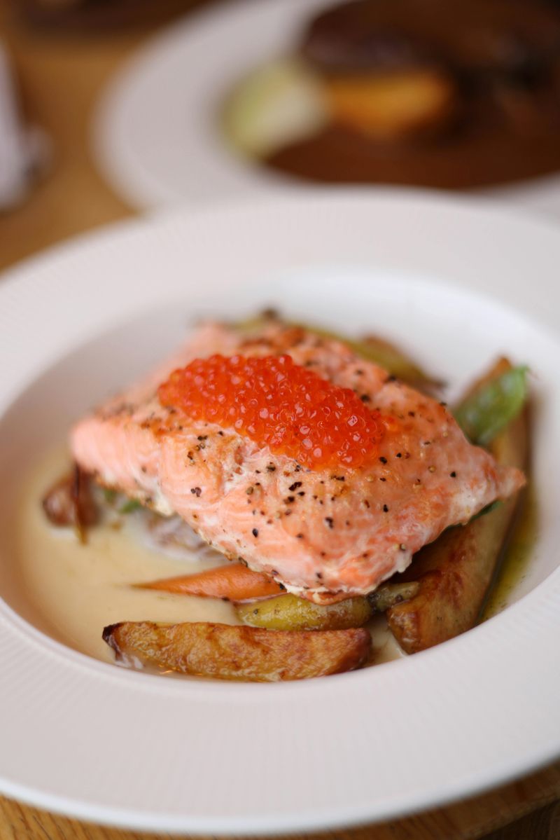 Salmon
