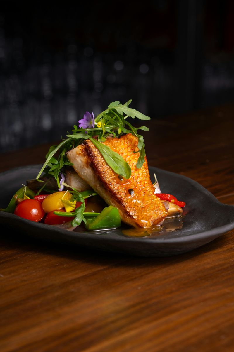 Salmon