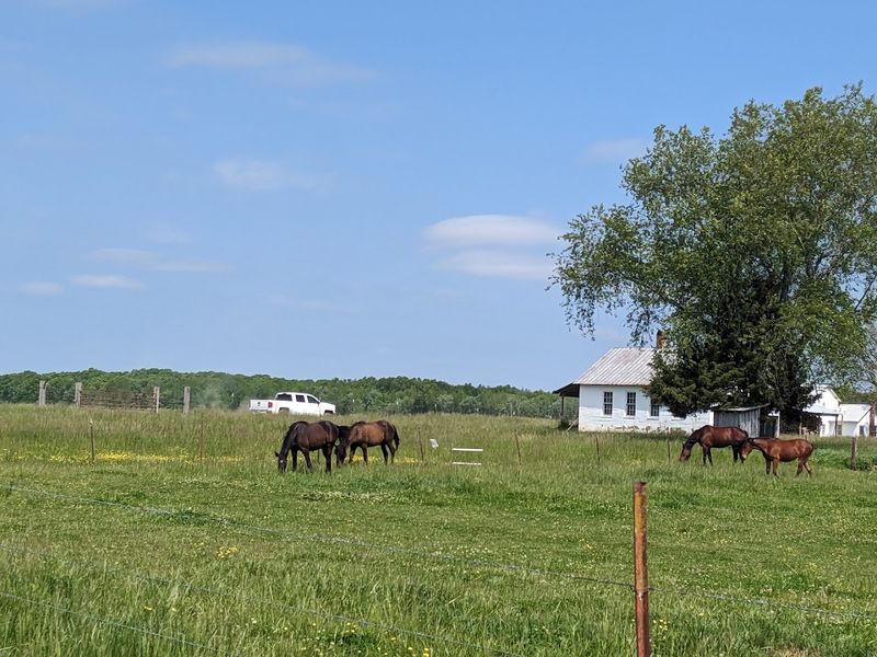 Sampling Homemade Amish Cheese and Dairy Products