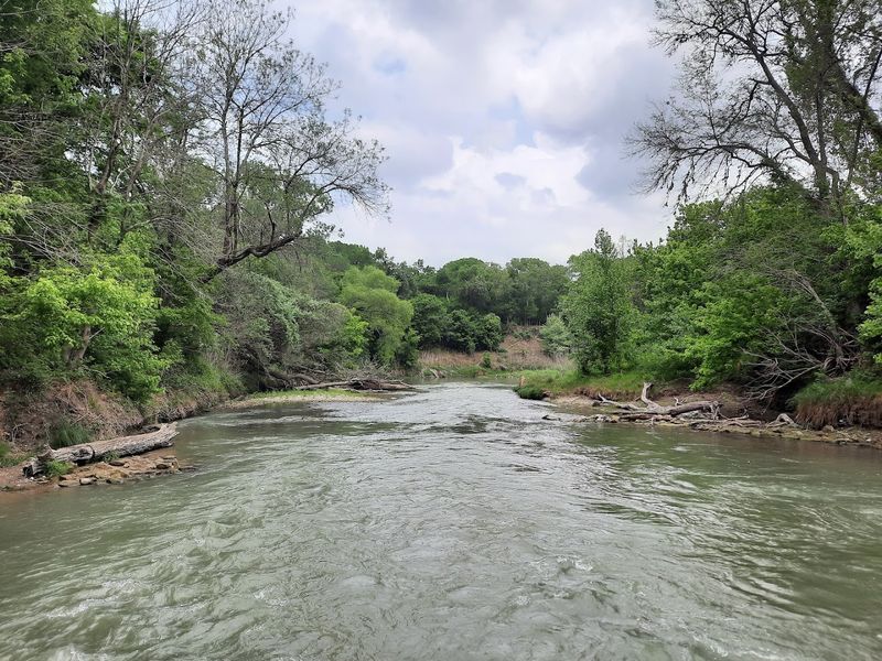 San Marcos River Swimming and Water Fun