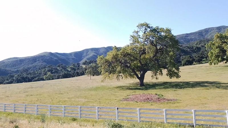 Santa Ynez Valley Wine Country: Sip Your Way Through History