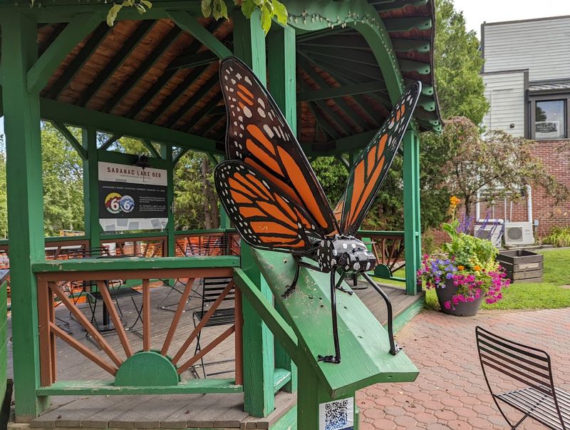 Saranac Lake's Vibrant Arts Scene