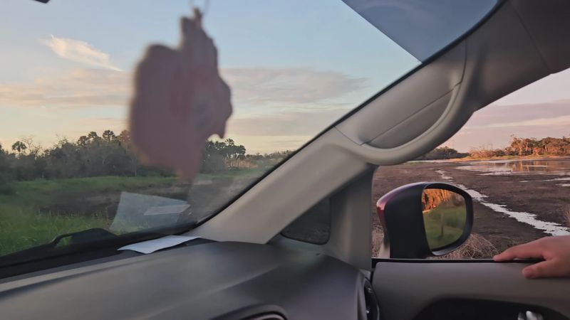 Scenic Drive Through the Park