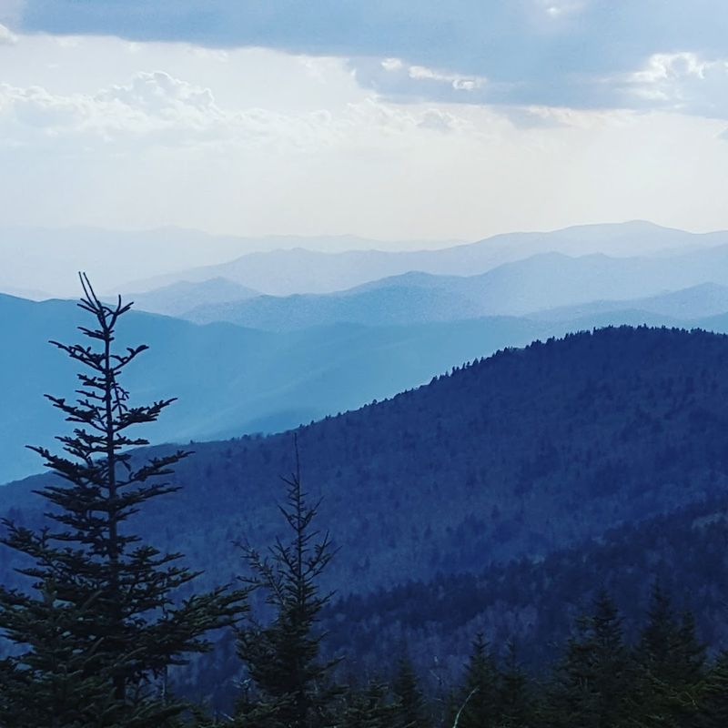 Scenic Drives That Require Zero Hiking Experience