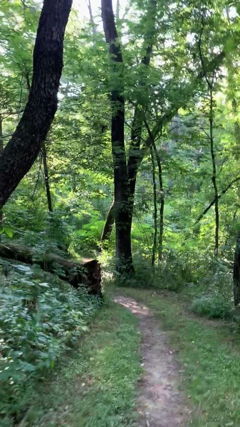 Scenic Hiking Trails for Every Skill Level