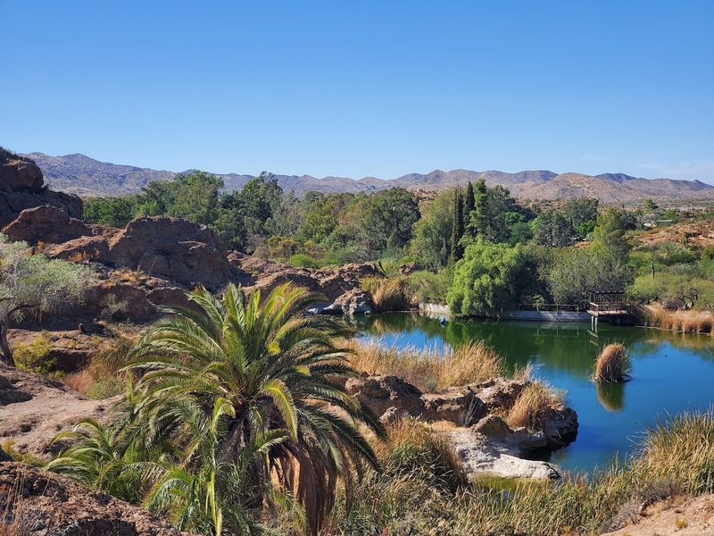 Scenic Lake Views That Feel Like a Desert Oasis