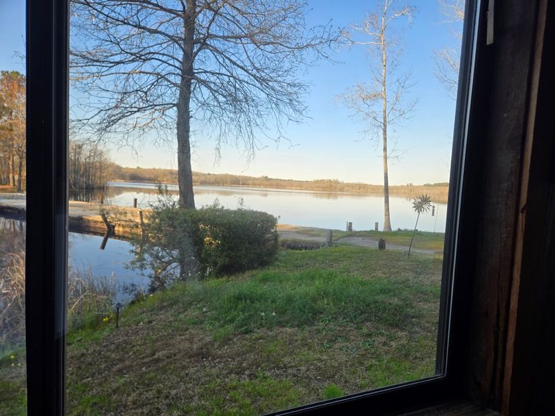 Scenic Pond Views That Make Dinner Unforgettable