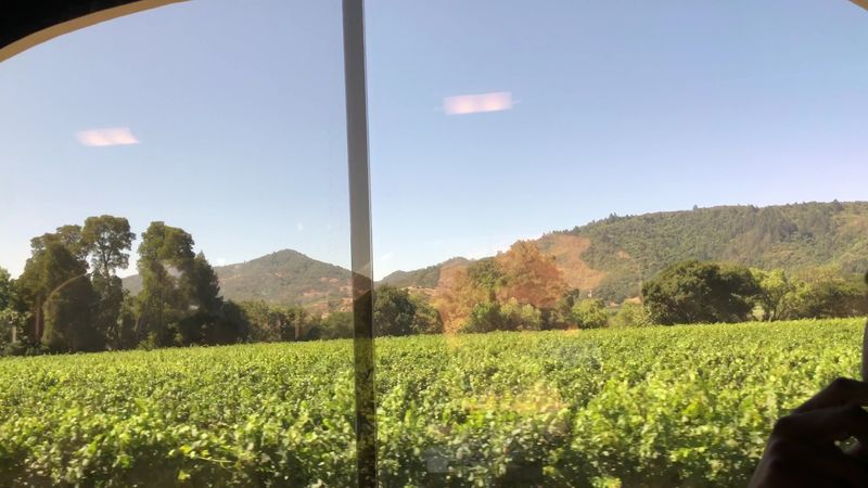 Scenic Views of Napa Valley Vineyards Scenic Views of Napa Valley Vineyards