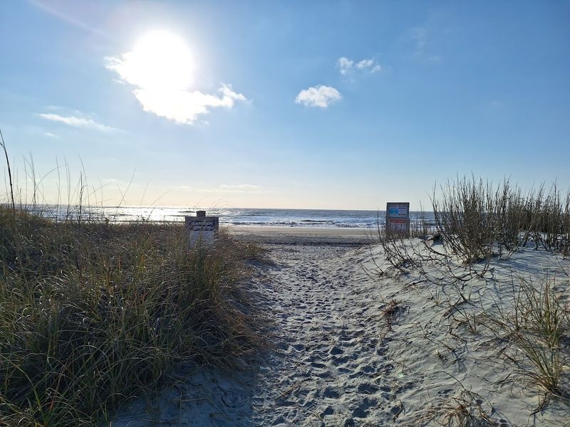 Sea Turtle Nests That Add a Touch of Wonder