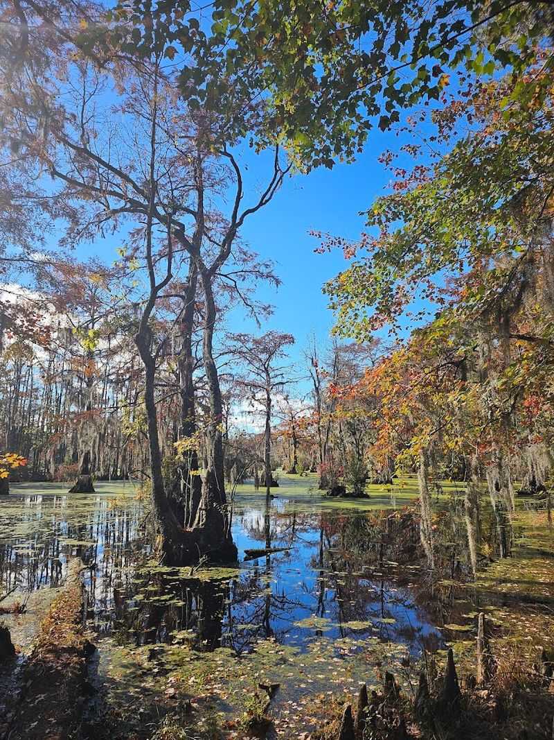Seasonal Beauty That Changes Every Visit