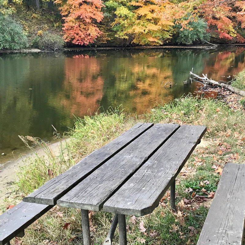 Seasonal Beauty That Changes With Every Visit