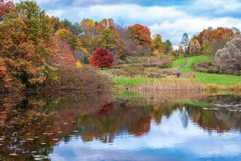 Seasonal Beauty That Changes With Every Visit