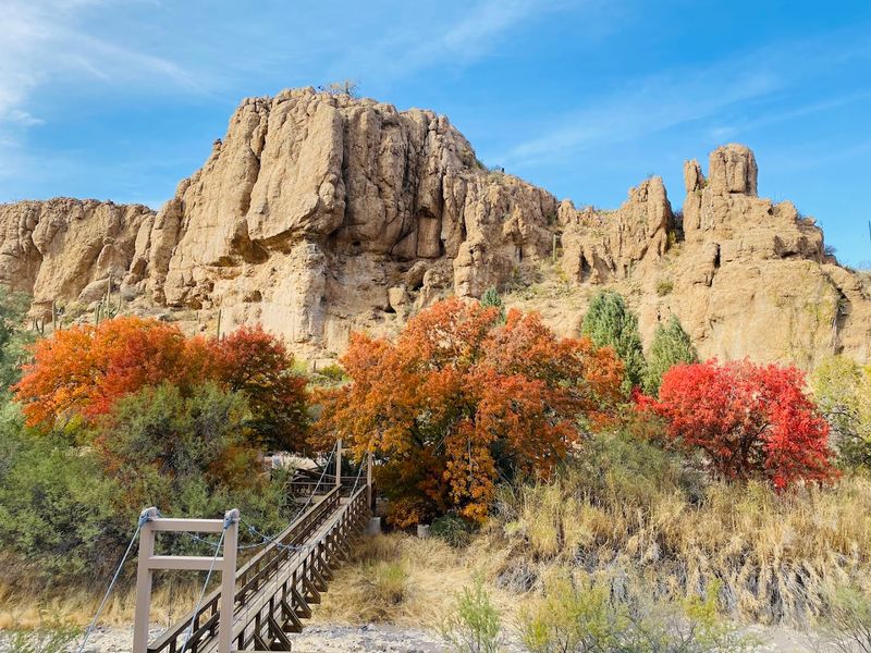 Seasonal Beauty That Changes with Every Visit Seasonal Beauty That Changes with Every Visit