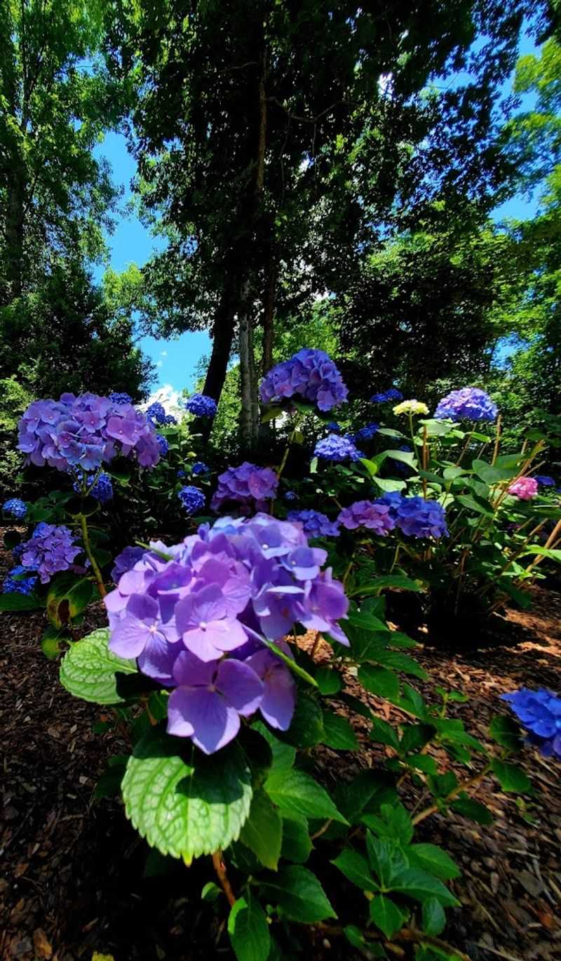 Seasonal Blooms That Change With Every Visit Seasonal Blooms That Change With Every Visit